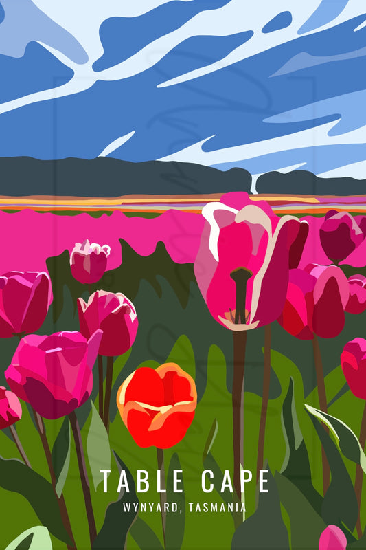 Table Cape, Wynyard - Magnet