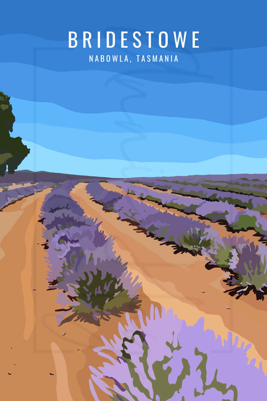 Bridestowe, Nabowla - Magnet