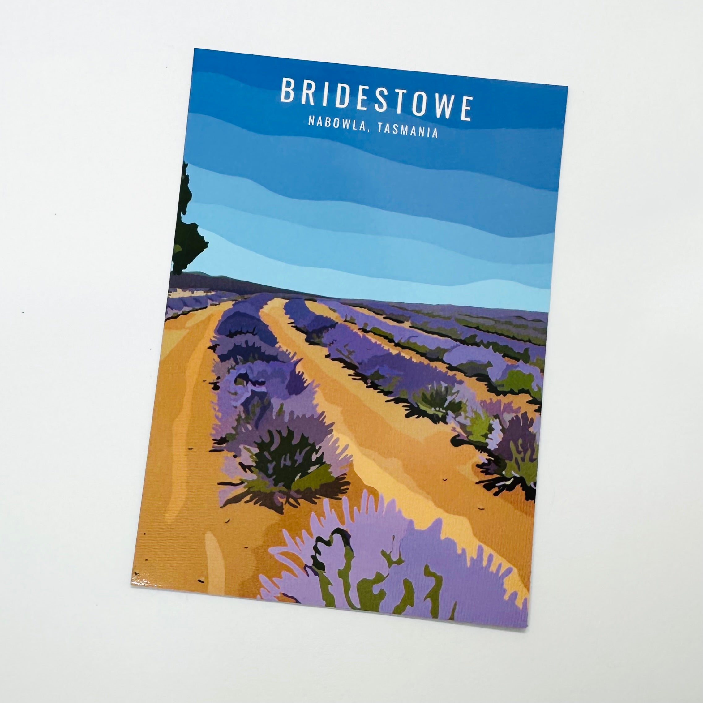 Bridestowe, Nabowla - Magnet